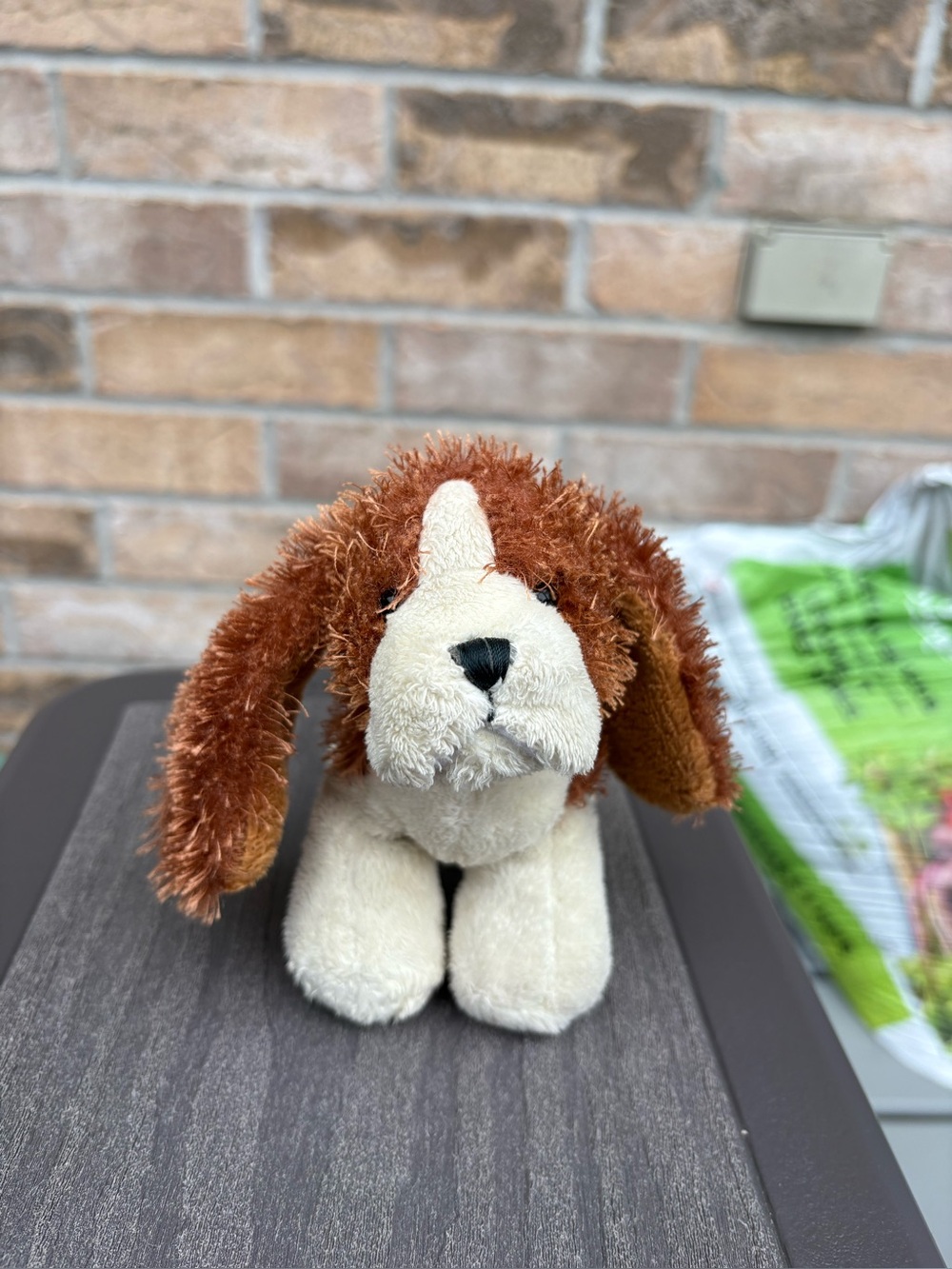 Webkinz Ganz Lil’Kinz Basset Hound Plush